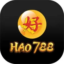 hao788 - 10
